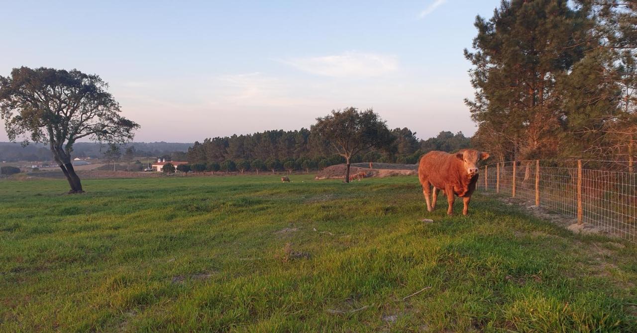 Villa Monte da Xara Aljezur Esterno foto