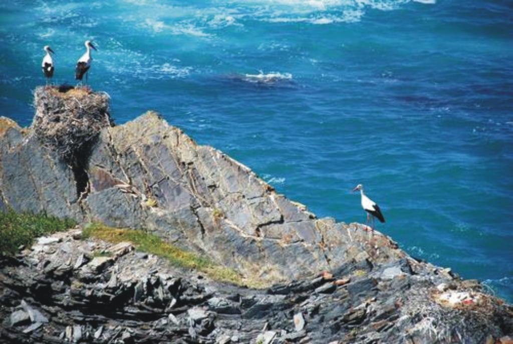 Villa Monte da Xara Aljezur Esterno foto